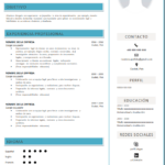 curriculum vitae abogado