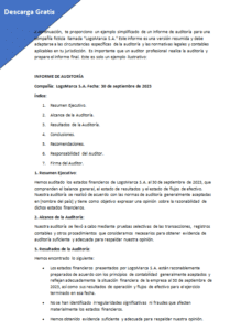 informe de auditoria