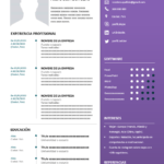 curriculum vitae internacional