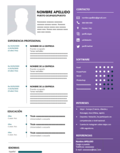 curriculum vitae internacional