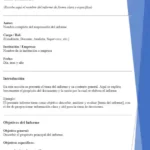 ejemplo de informe